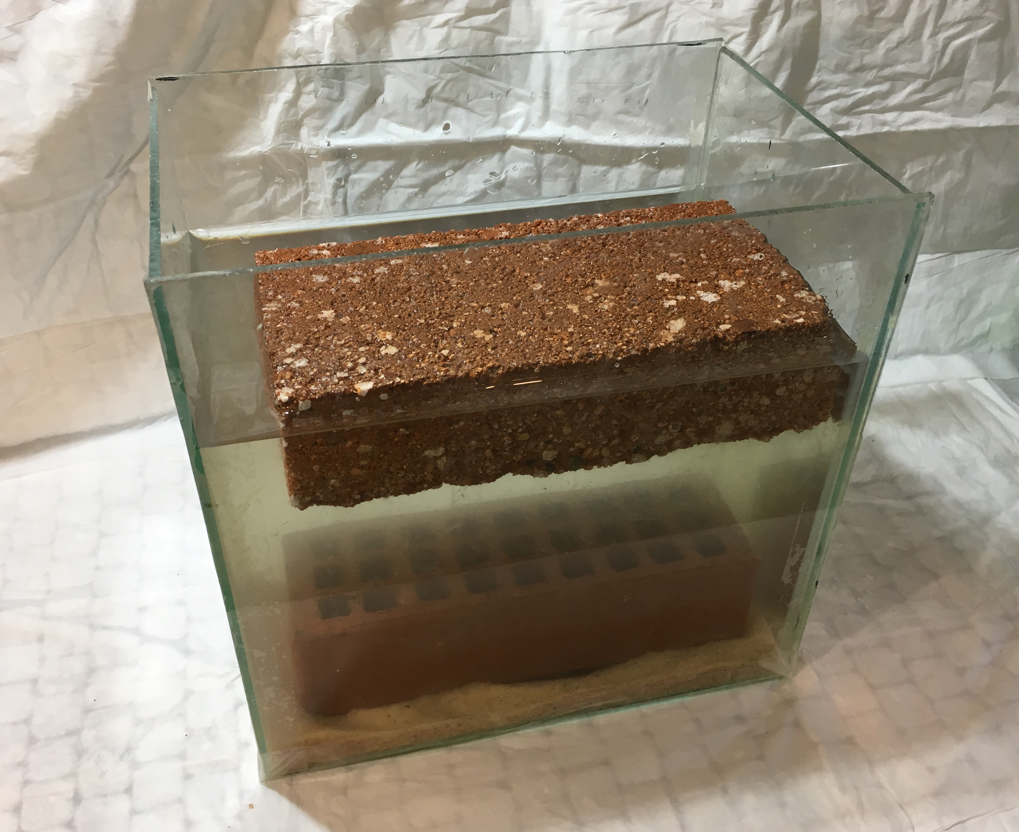 The porous brick and the hollow brick in the aquarium 